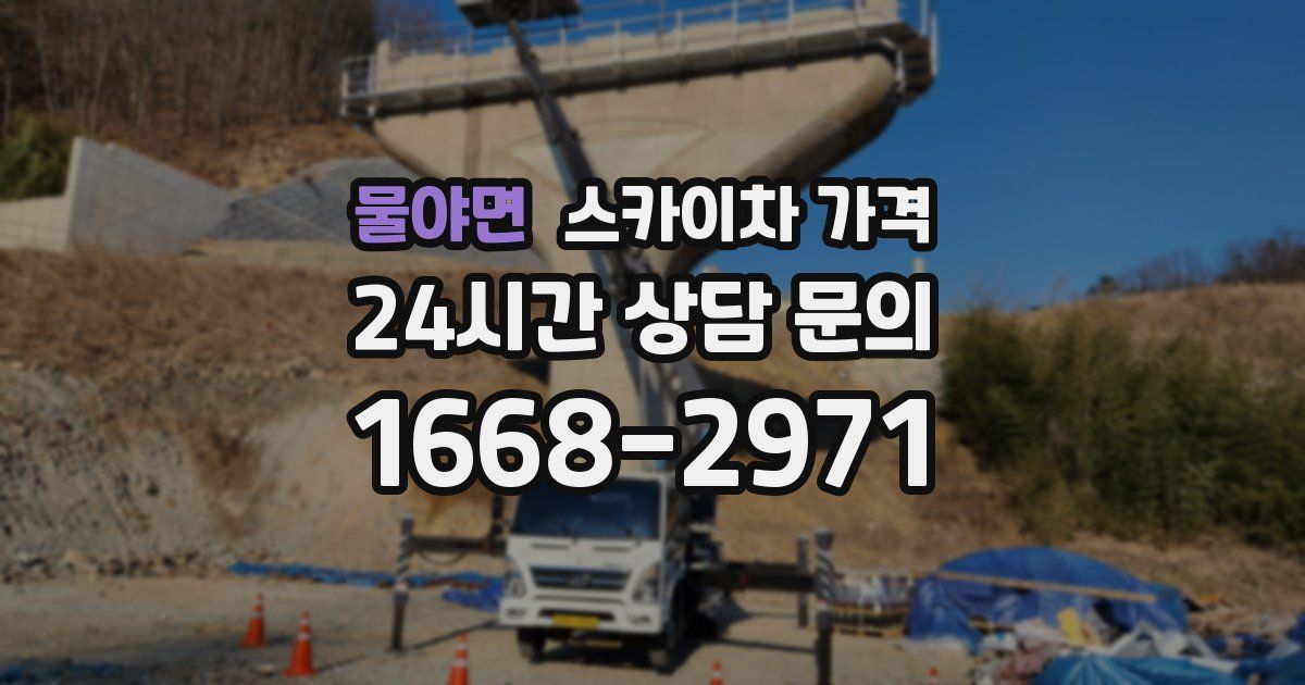 물야면 스카이차 가격