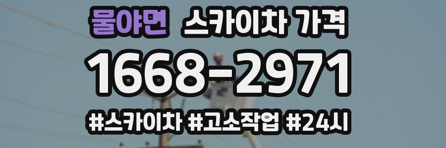 물야면 스카이차 가격