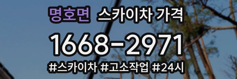 명호면 스카이차 가격