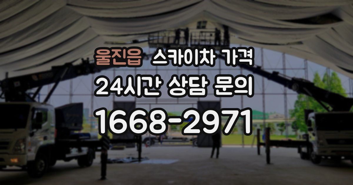 울진읍 스카이차 가격