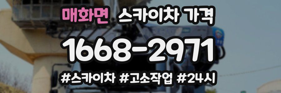 매화면 스카이차 가격