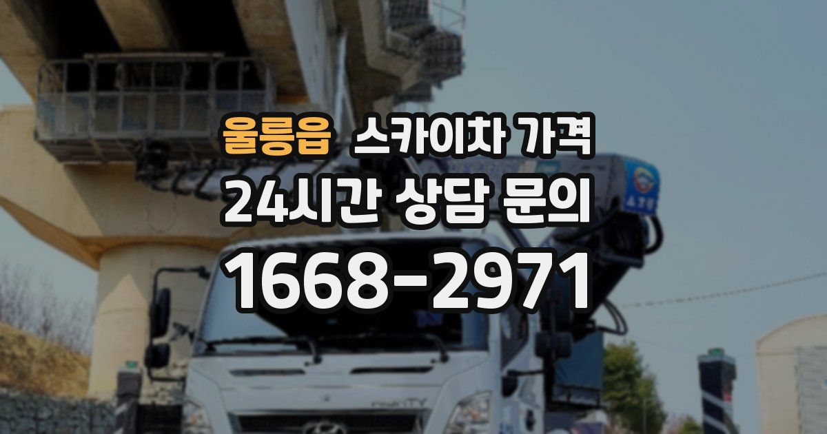 울릉읍 스카이차 가격