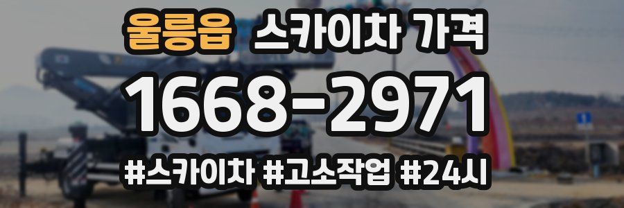 울릉읍 스카이차 가격