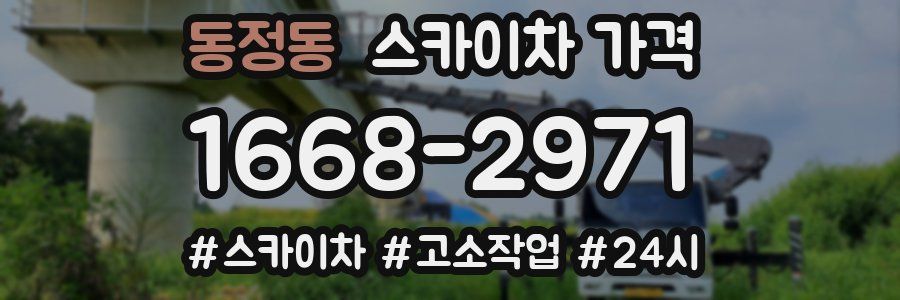 동정동 스카이차 가격