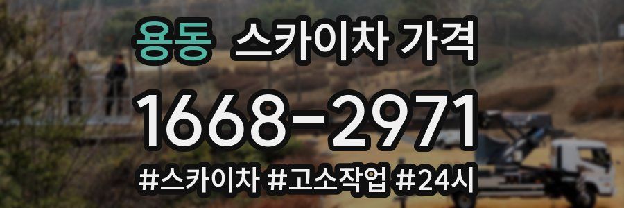 용동 스카이차 가격