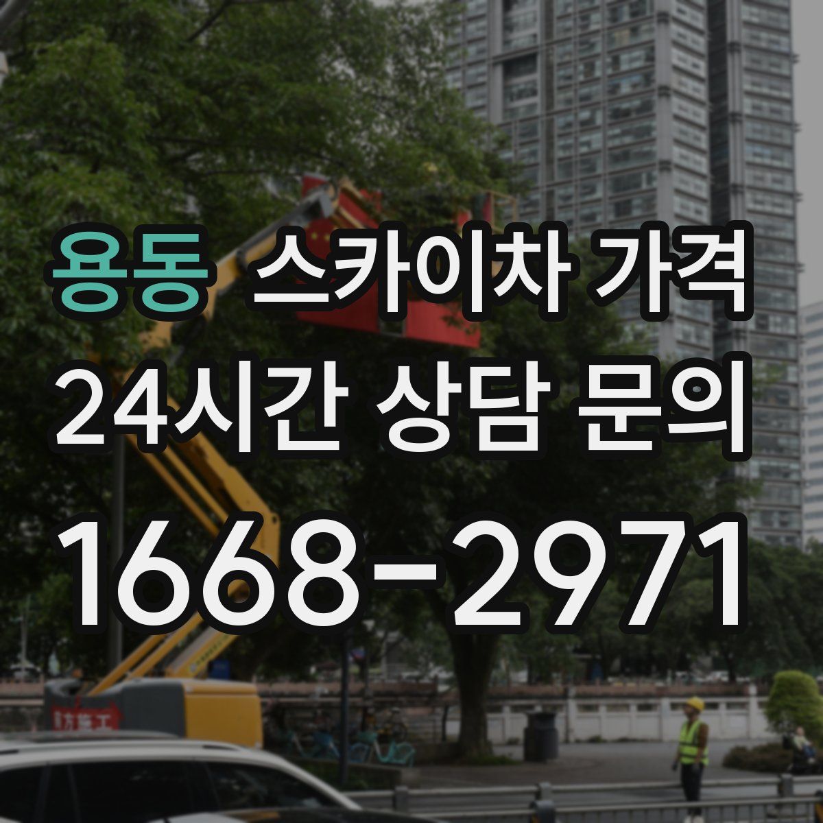 용동 스카이차 가격