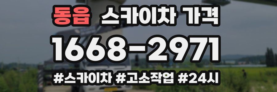 동읍 스카이차 가격