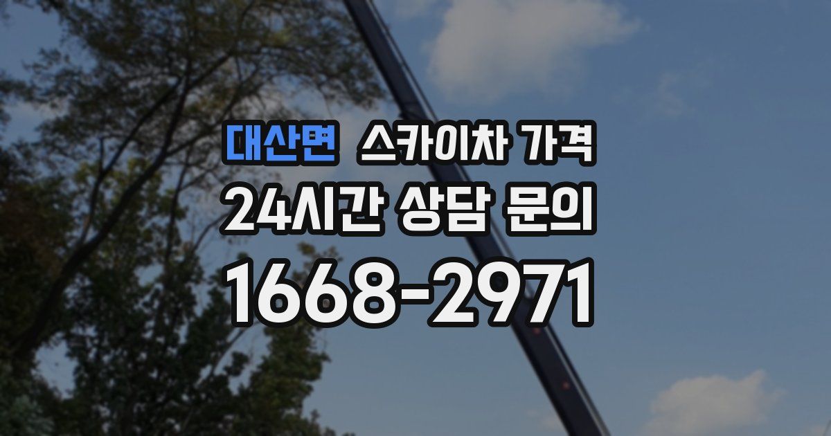 대산면 스카이차 가격