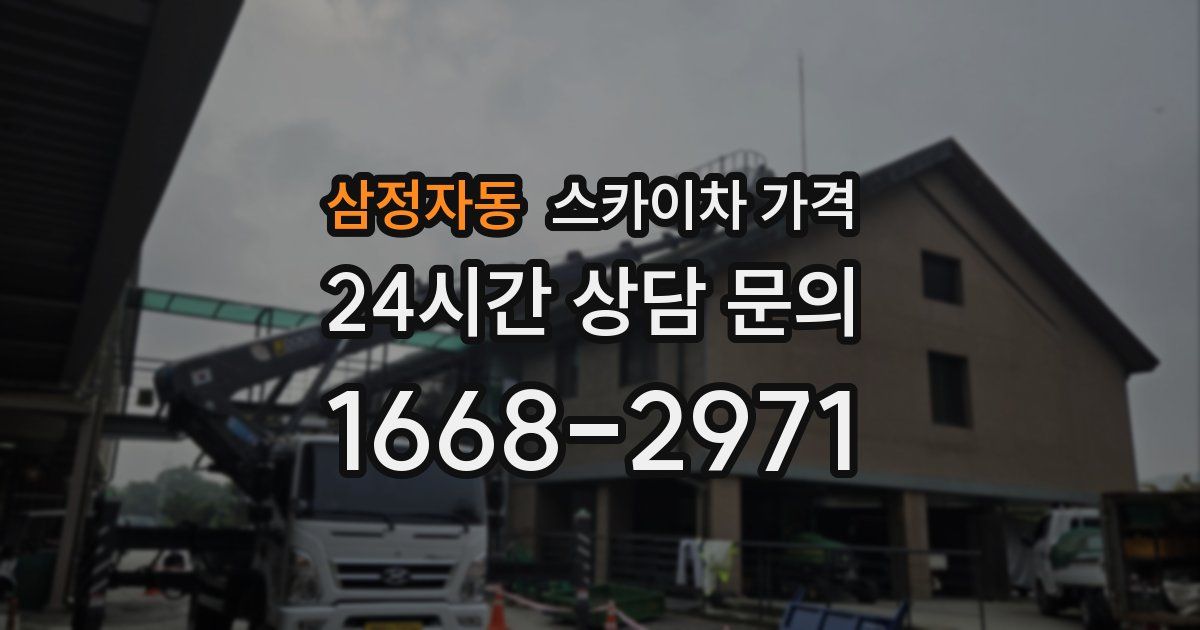 삼정자동 스카이차 가격