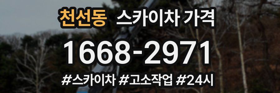 천선동 스카이차 가격