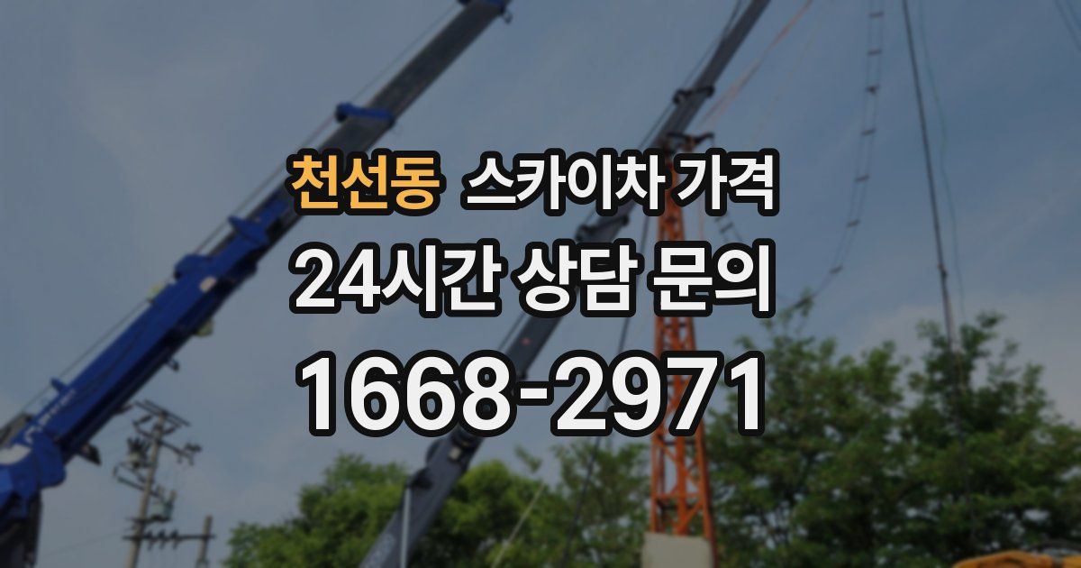 천선동 스카이차 가격