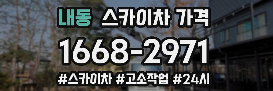 내동 스카이차 가격