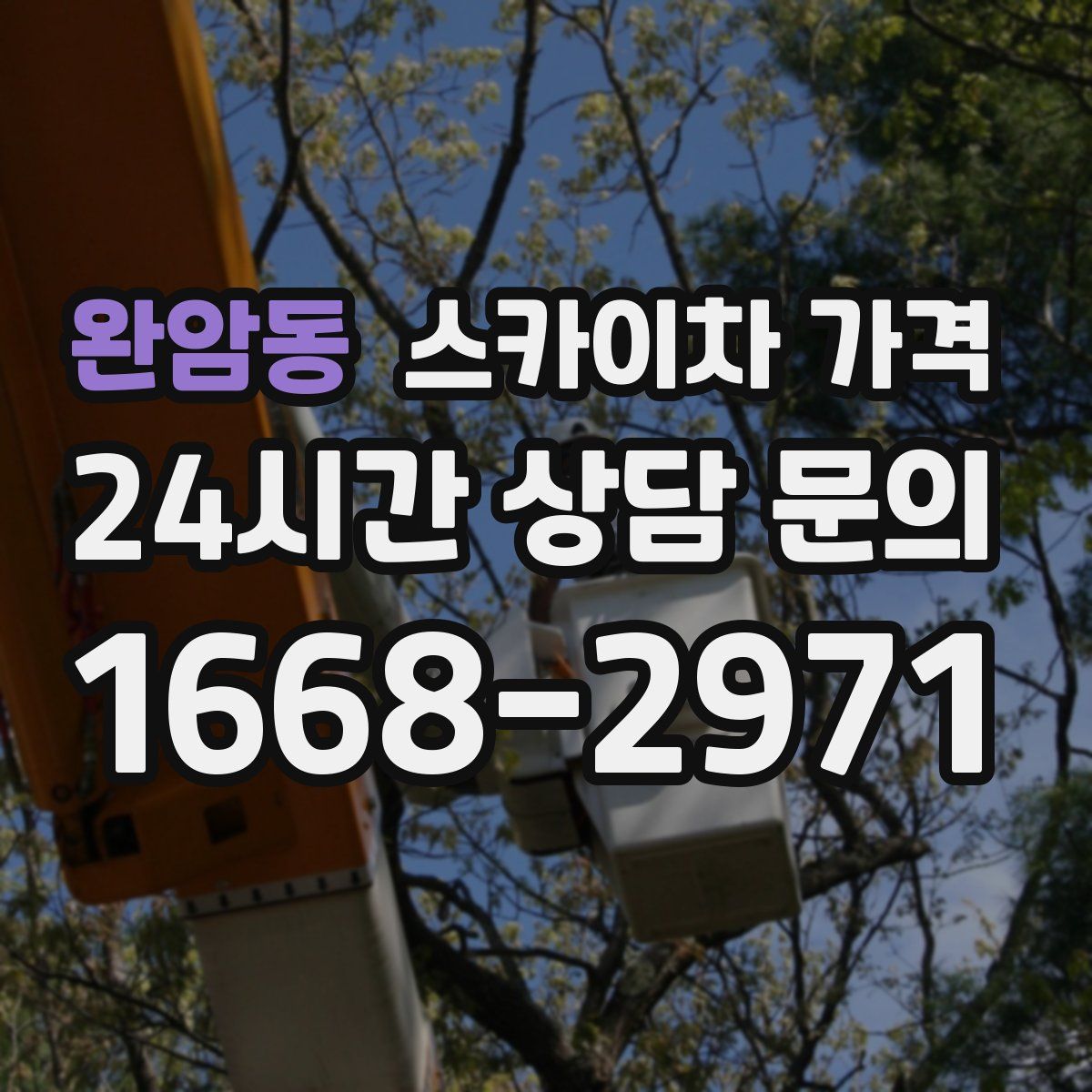 완암동 스카이차 가격