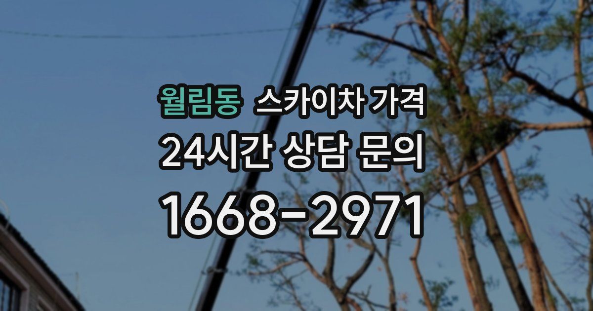 월림동 스카이차 가격