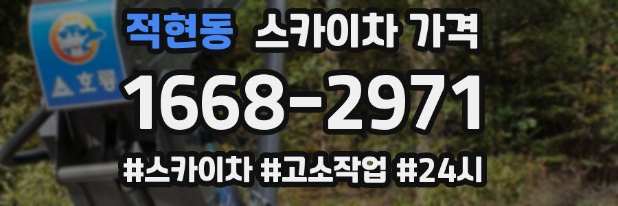 적현동 스카이차 가격