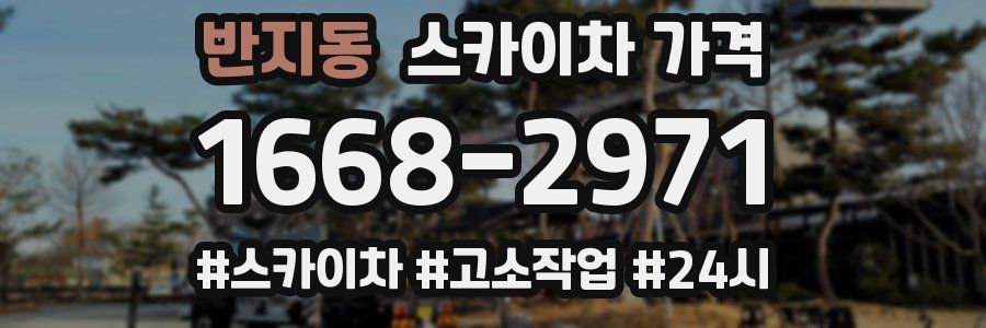 반지동 스카이차 가격