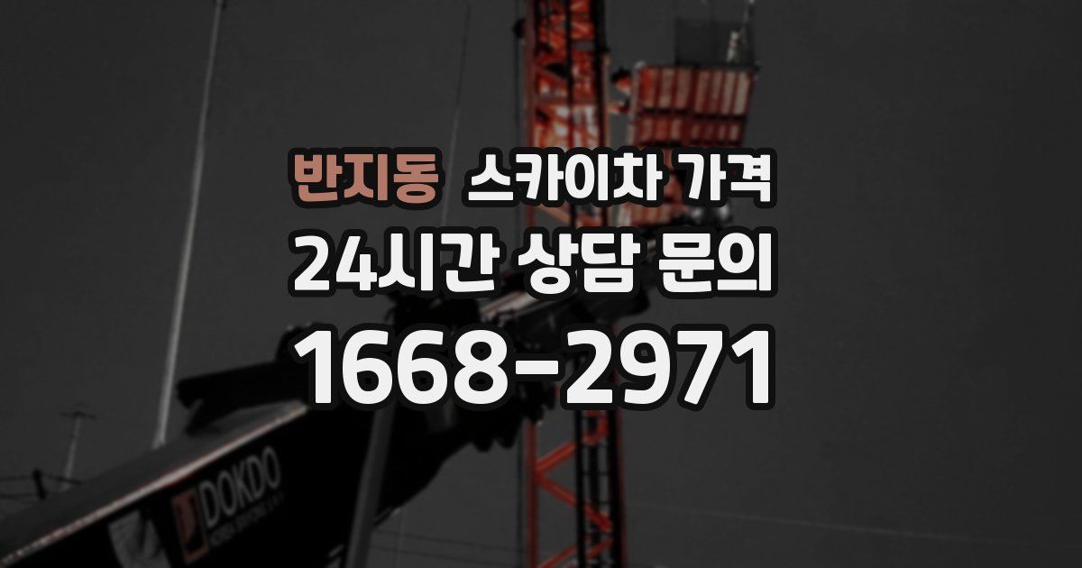 반지동 스카이차 가격