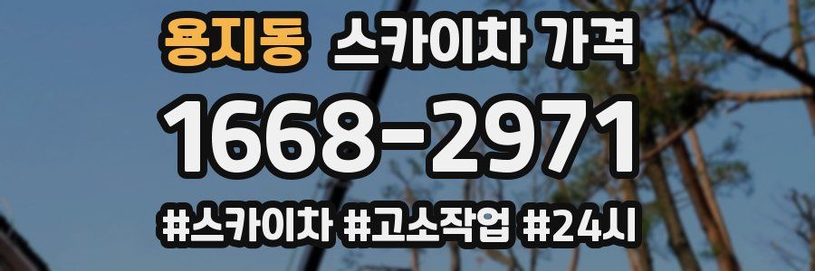 용지동 스카이차 가격