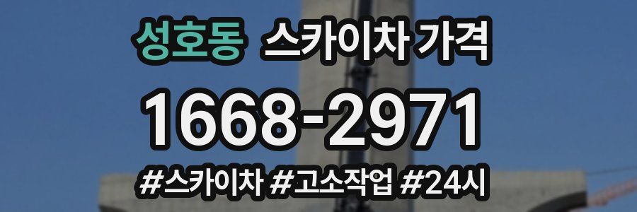 성호동 스카이차 가격