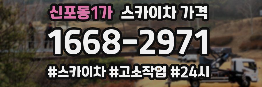 신포동1가 스카이차 가격