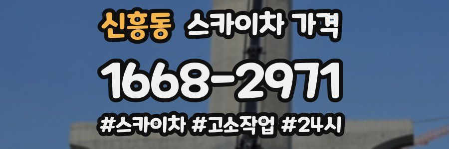 신흥동 스카이차 가격