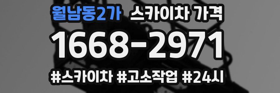 월남동2가 스카이차 가격