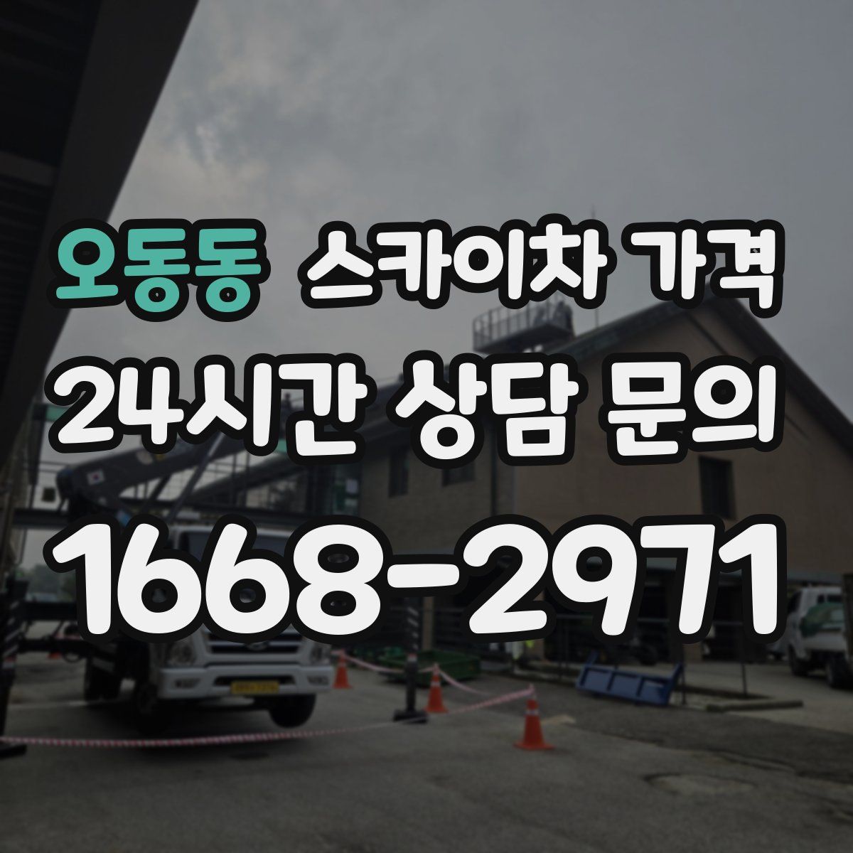 오동동 스카이차 가격