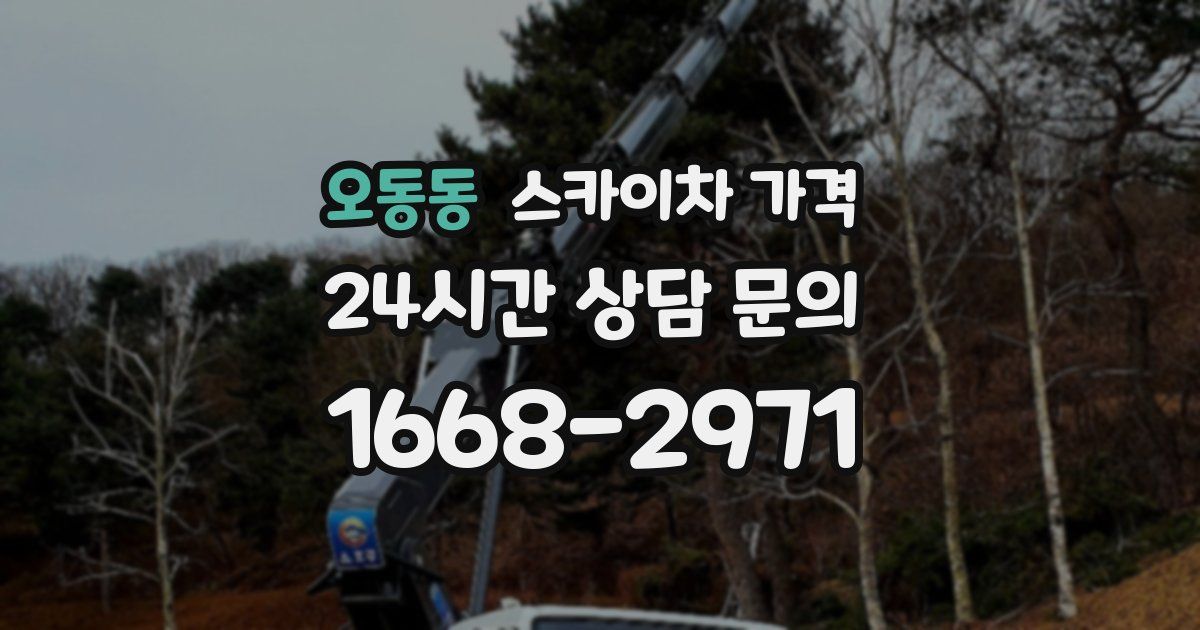 오동동 스카이차 가격