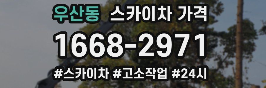 우산동 스카이차 가격