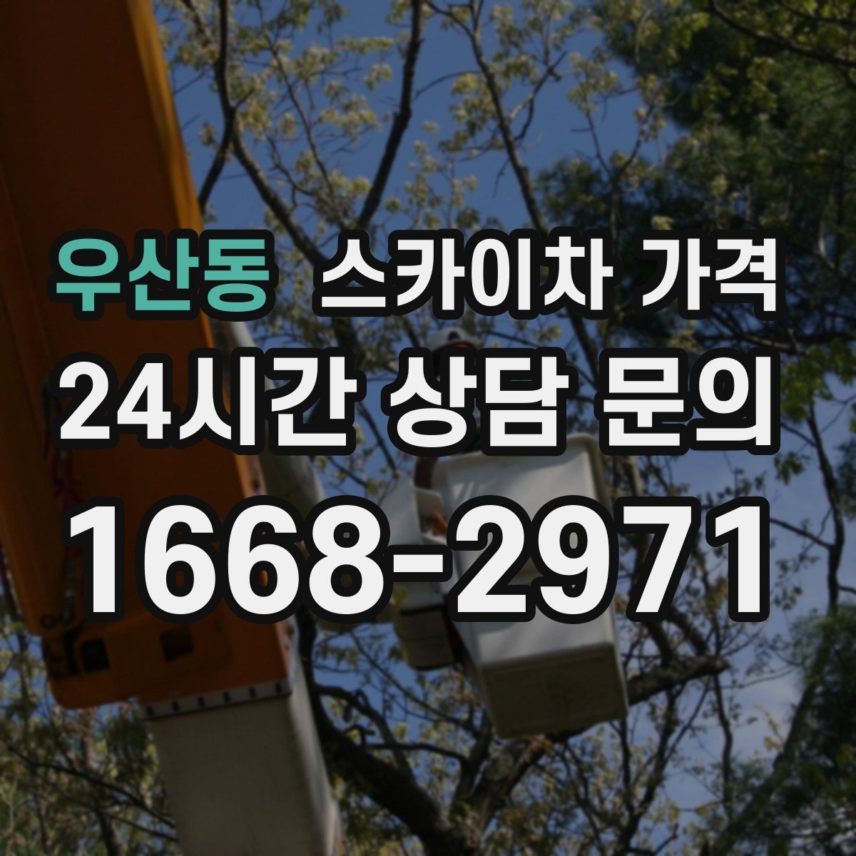 우산동 스카이차 가격