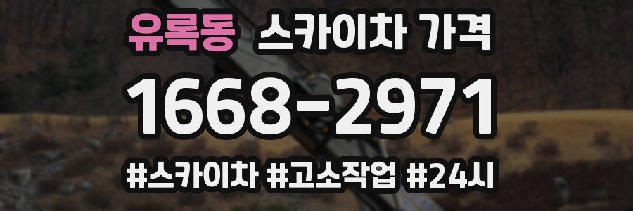 유록동 스카이차 가격