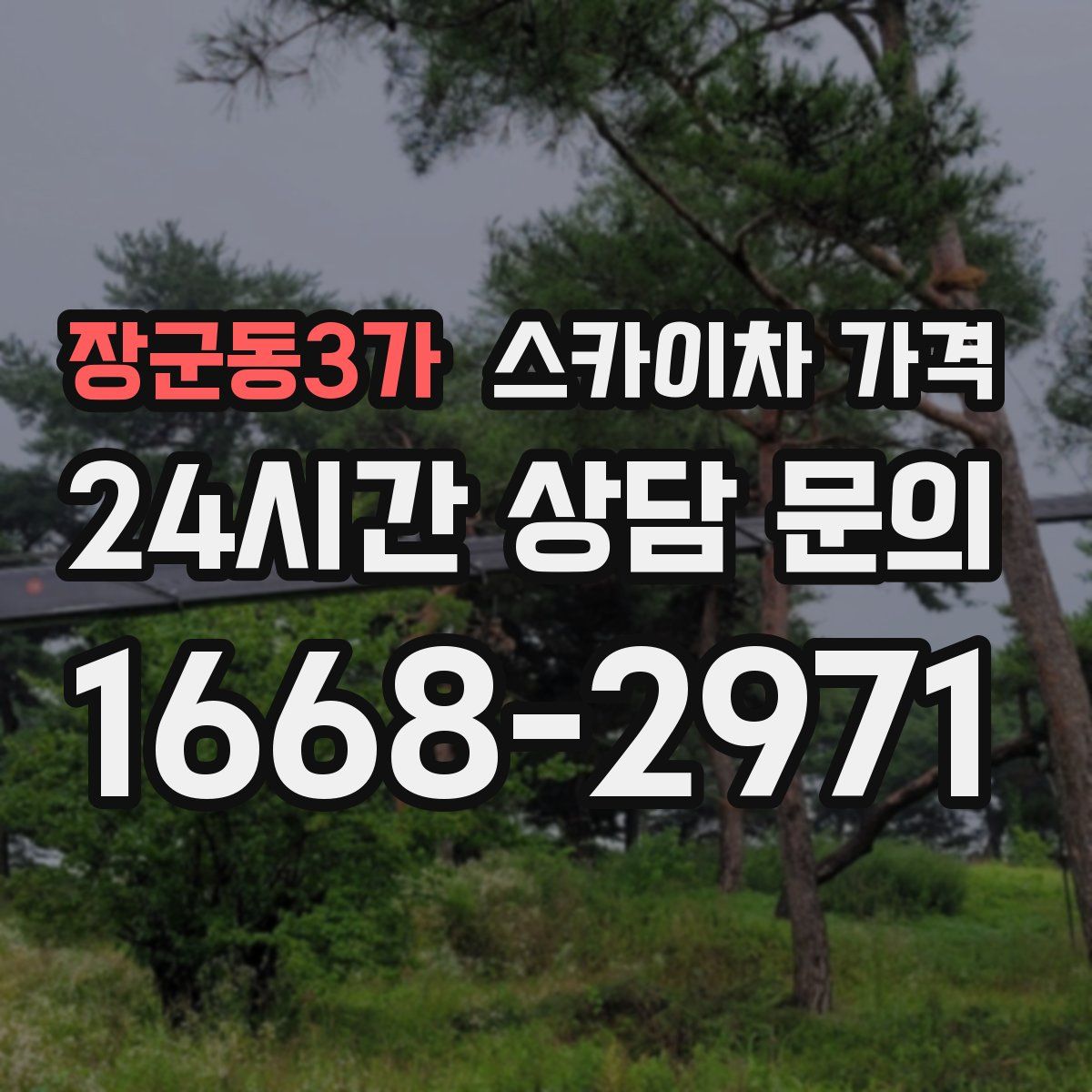 장군동3가 스카이차 가격