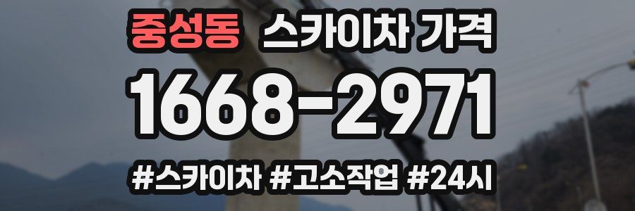 중성동 스카이차 가격