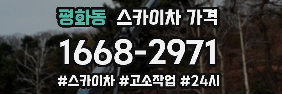 평화동 스카이차 가격