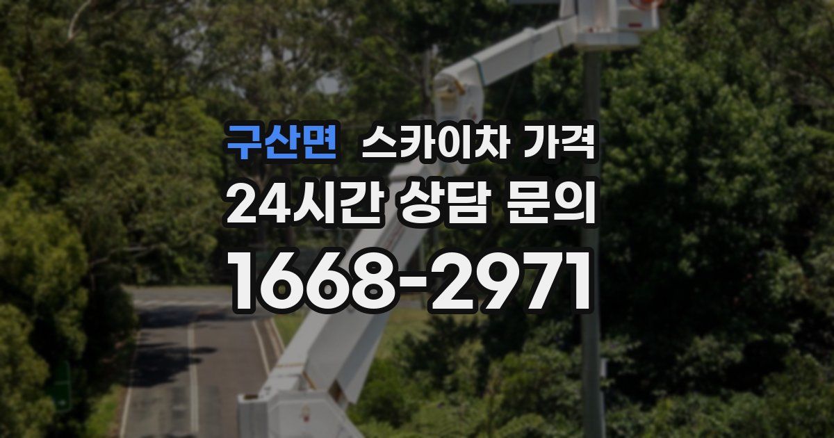 구산면 스카이차 가격