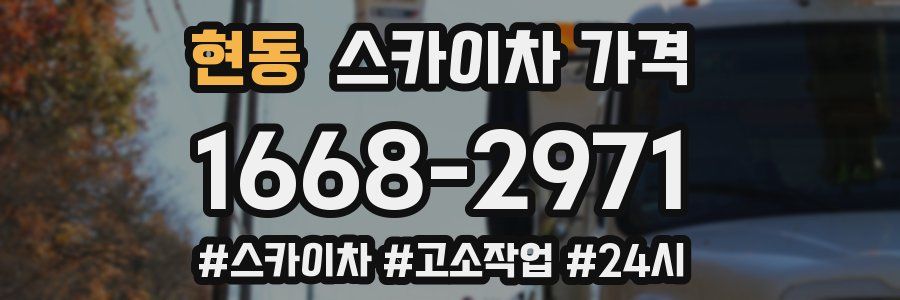 현동 스카이차 가격