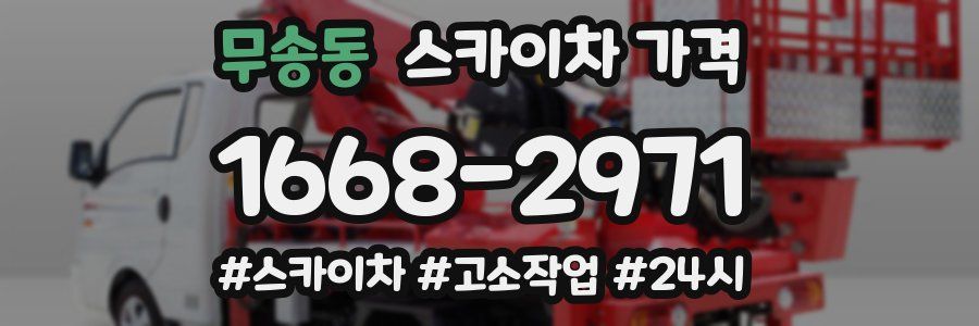 무송동 스카이차 가격