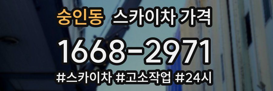 숭인동 스카이차 가격