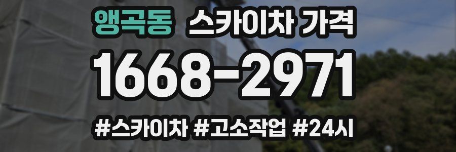 앵곡동 스카이차 가격