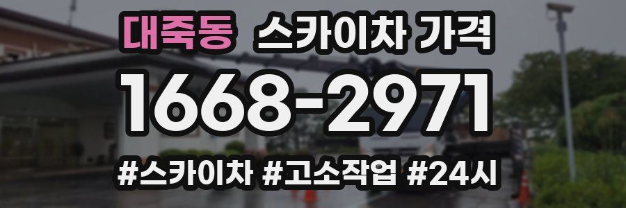 대죽동 스카이차 가격