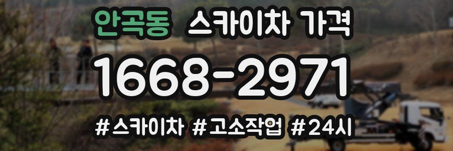 안곡동 스카이차 가격