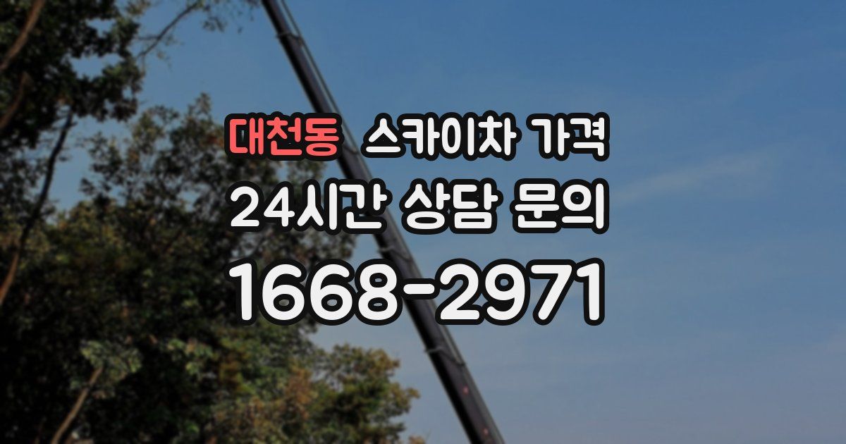 대천동 스카이차 가격