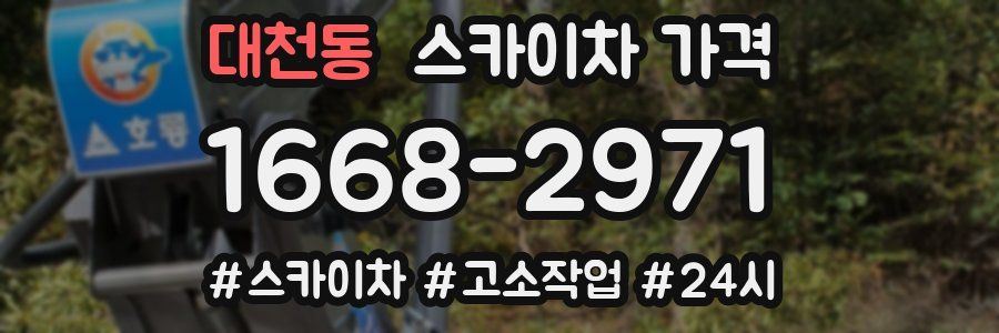 대천동 스카이차 가격