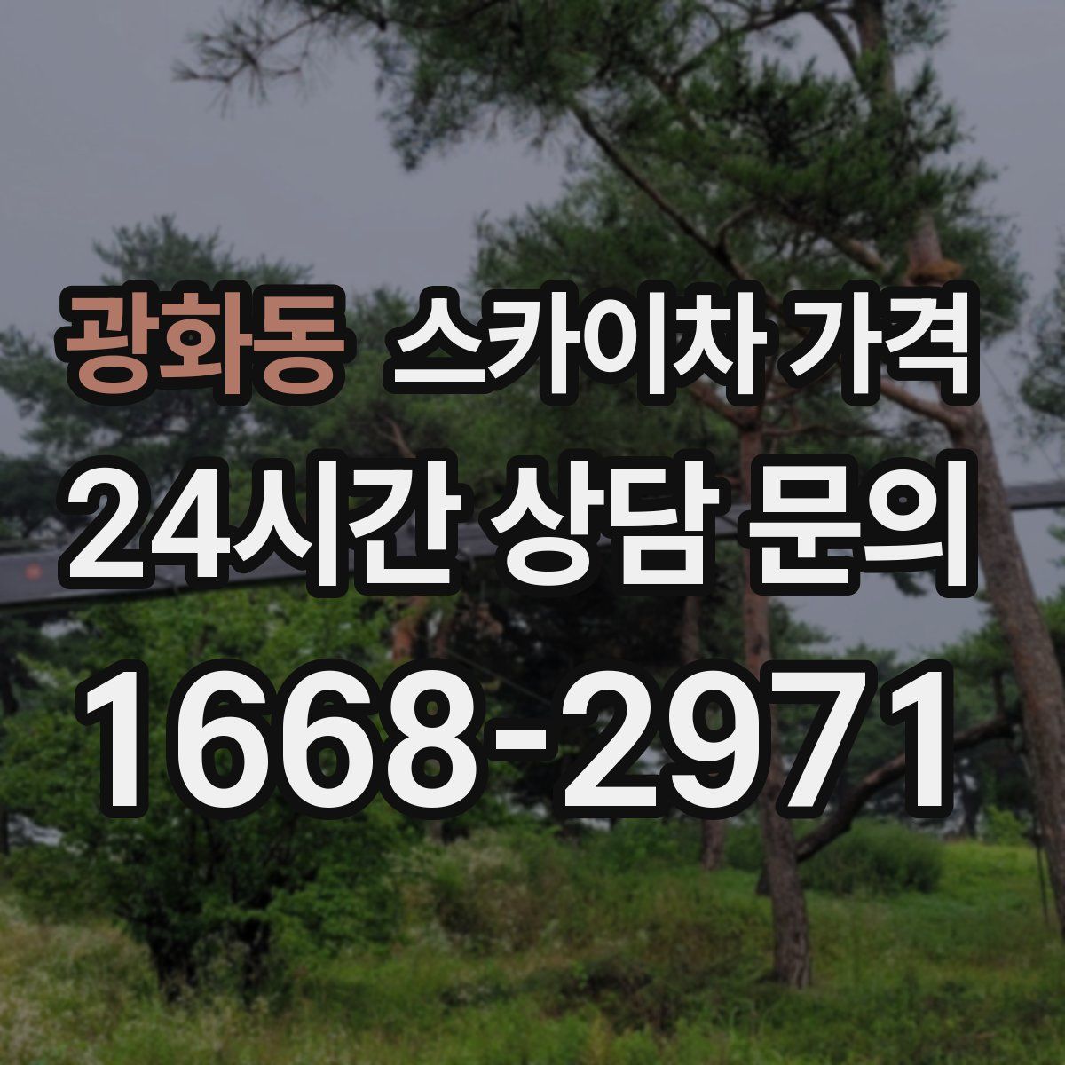 광화동 스카이차 가격