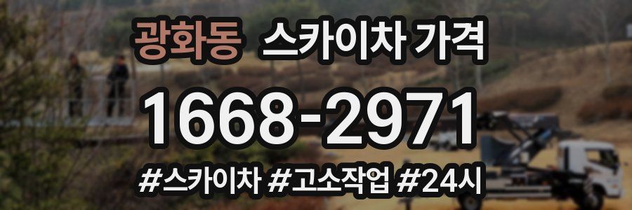 광화동 스카이차 가격