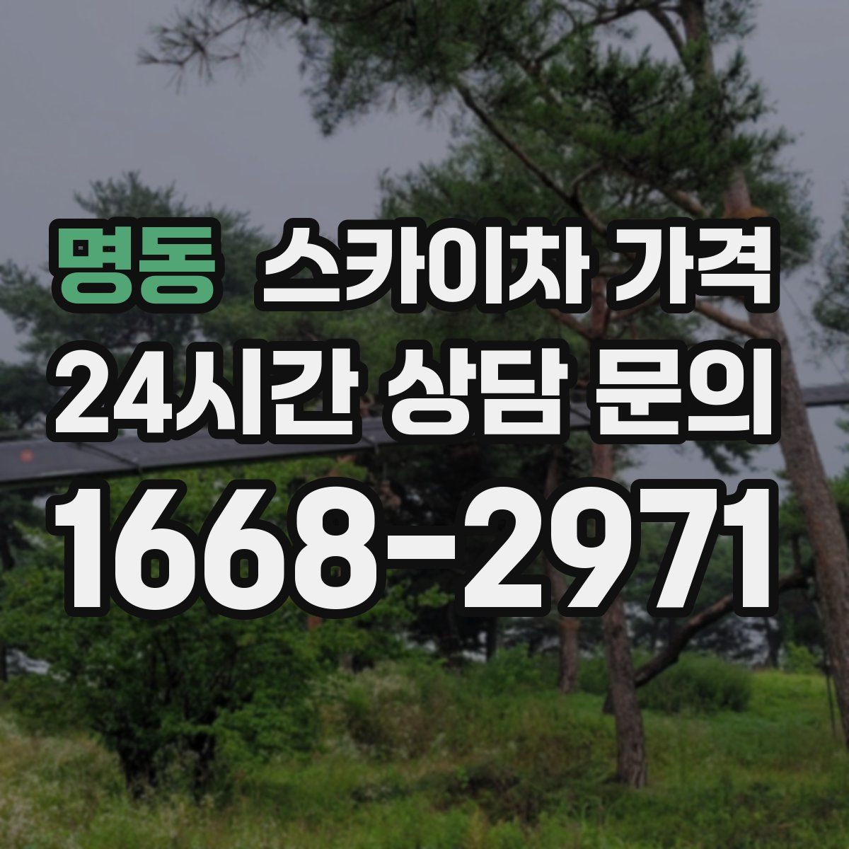 명동 스카이차 가격