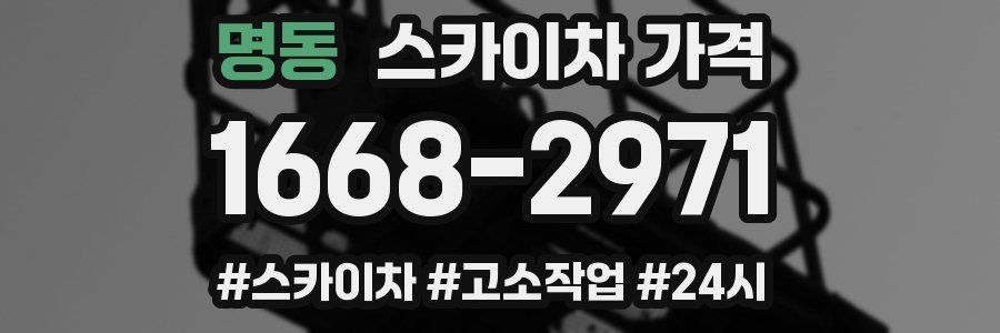 명동 스카이차 가격