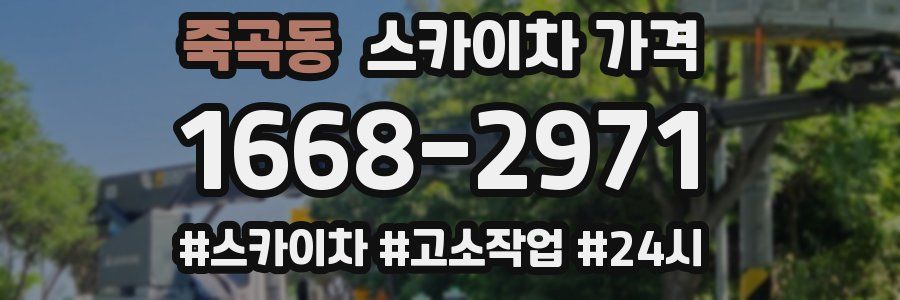 죽곡동 스카이차 가격