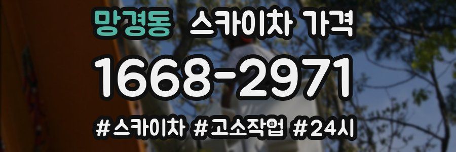 망경동 스카이차 가격