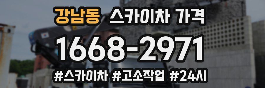 강남동 스카이차 가격